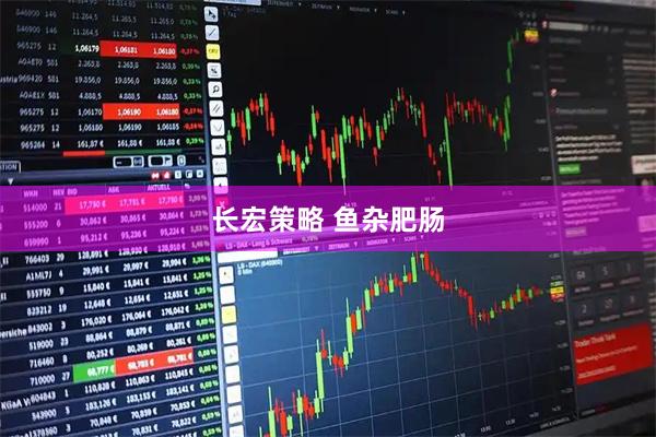 长宏策略 鱼杂肥肠